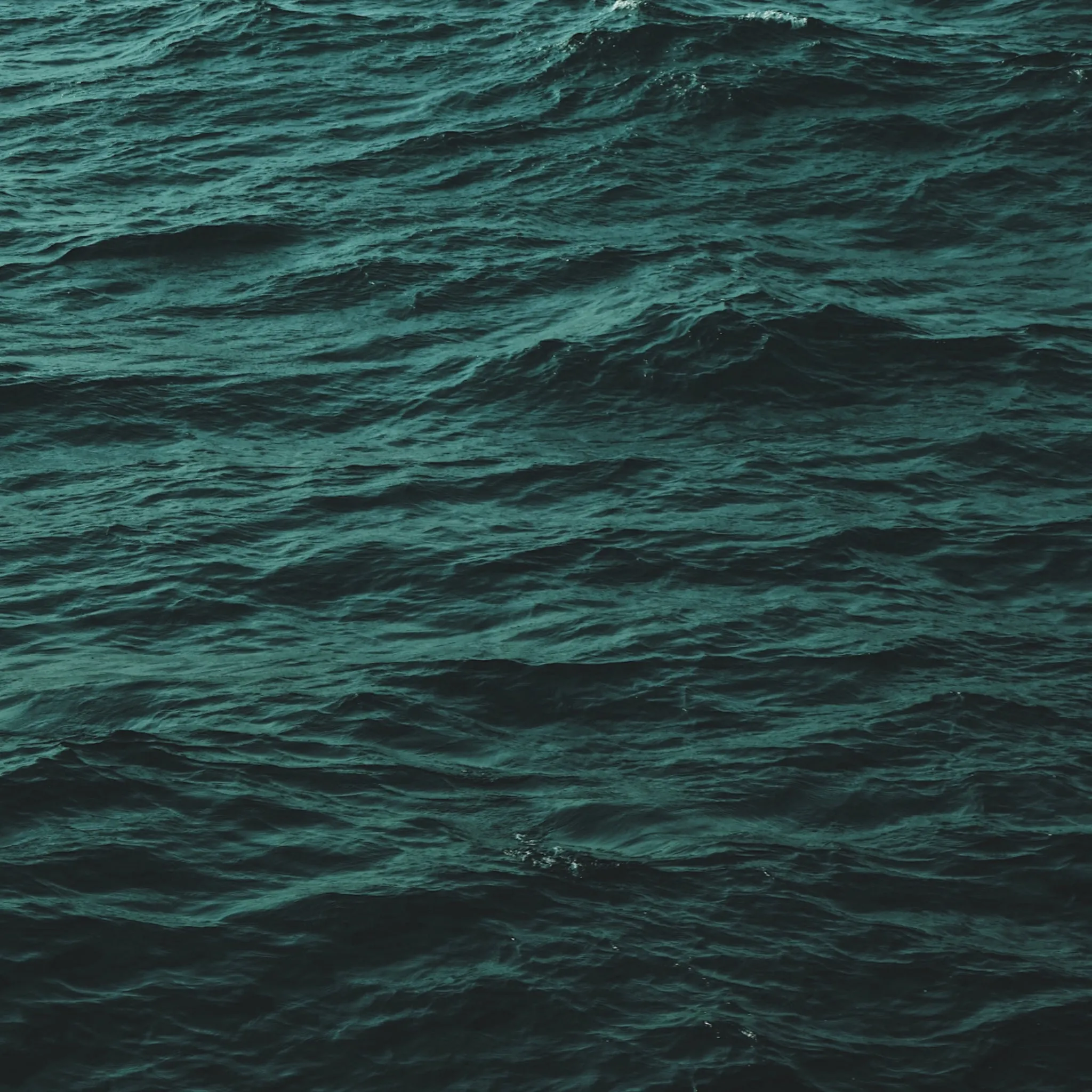 Hoy Waterproof Daily Jacket - Black