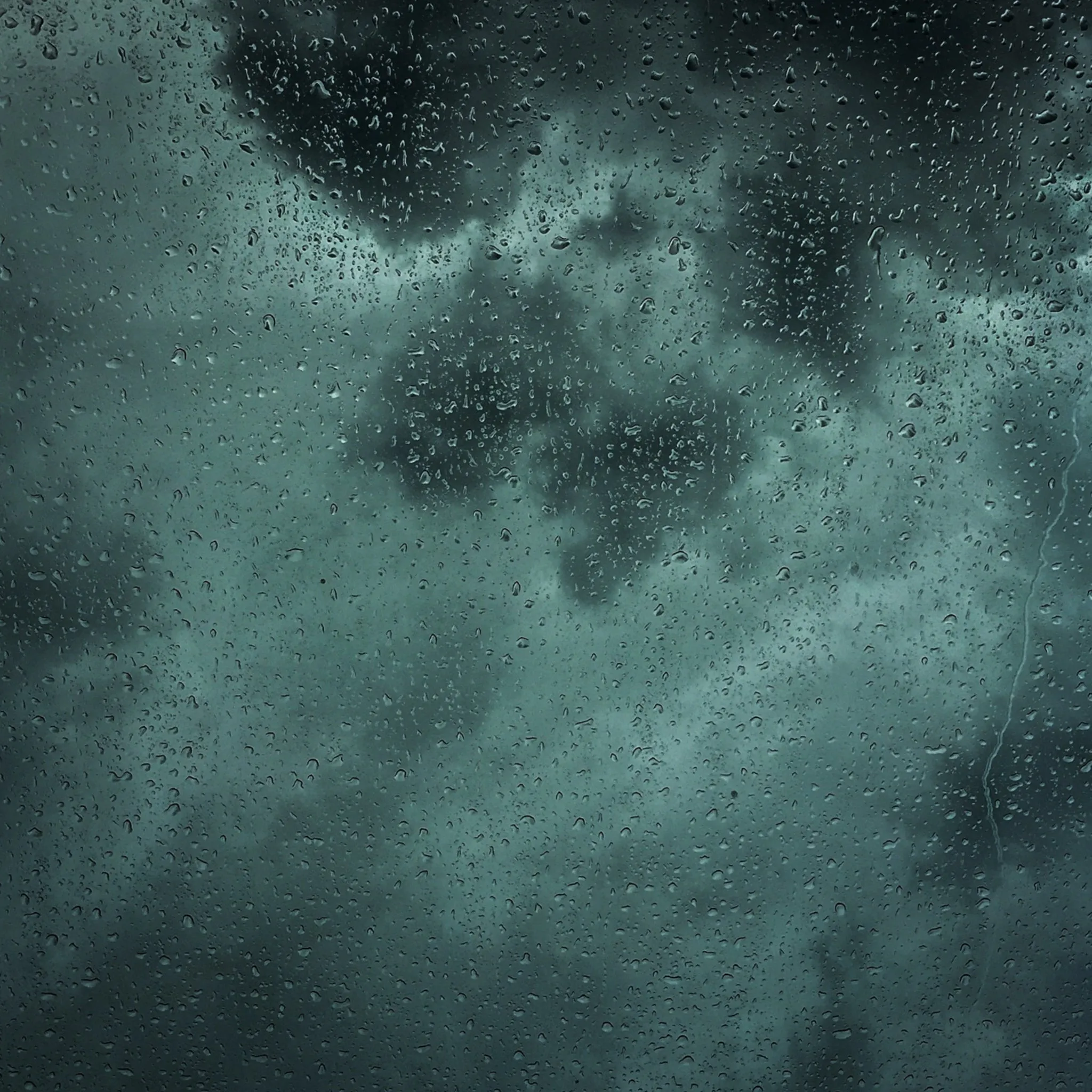 Hoy Waterproof Daily Jacket - Black